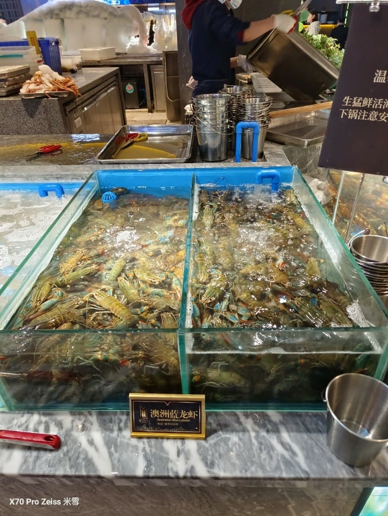 【上海吃到飽】銘門盛宴上海店，各種活海鮮自撈吃到飽❤️