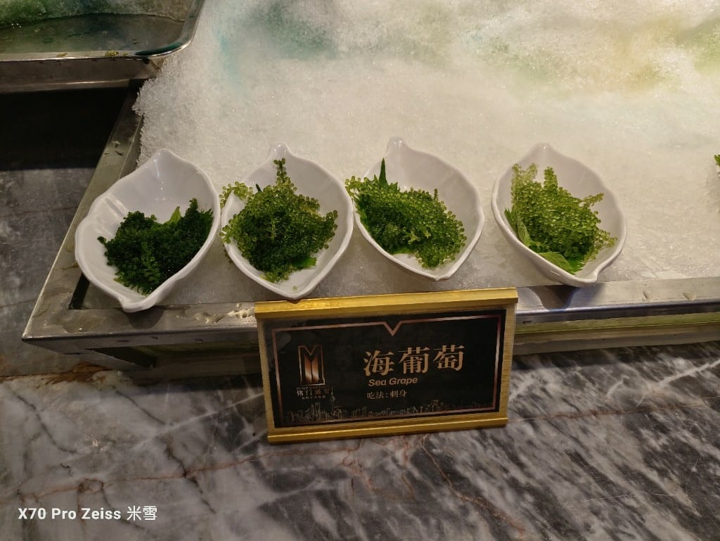 【上海吃到飽】銘門盛宴上海店，各種活海鮮自撈吃到飽❤️