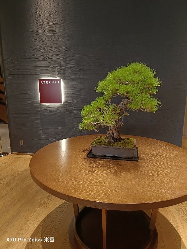 【日本大阪美食】JW萬豪酒店奈良,校倉AZEKURA鐵板燒料理❤️ - 第3張圖 【日本大阪美食】JW萬豪酒店奈良,校倉AZEKURA鐵板燒料理❤️