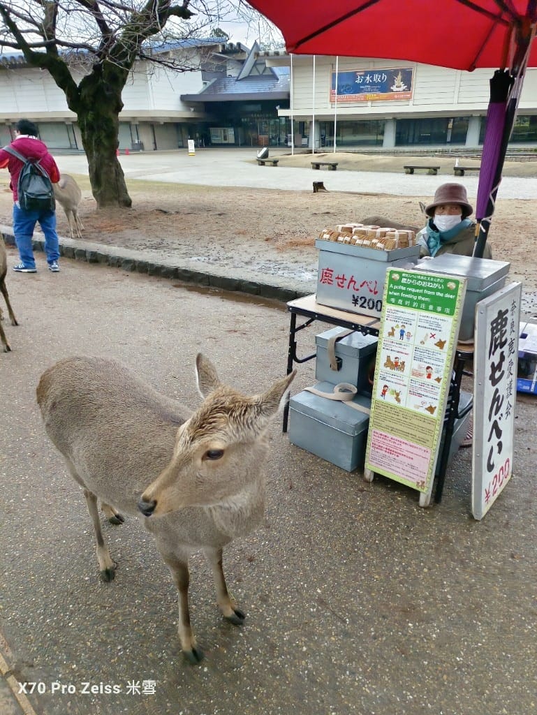【日本大阪住宿】JW萬豪酒店奈良,開箱Griffin精致套房❤️ - 第39張圖 【日本大阪住宿】JW萬豪酒店奈良,開箱Griffin精致套房❤️