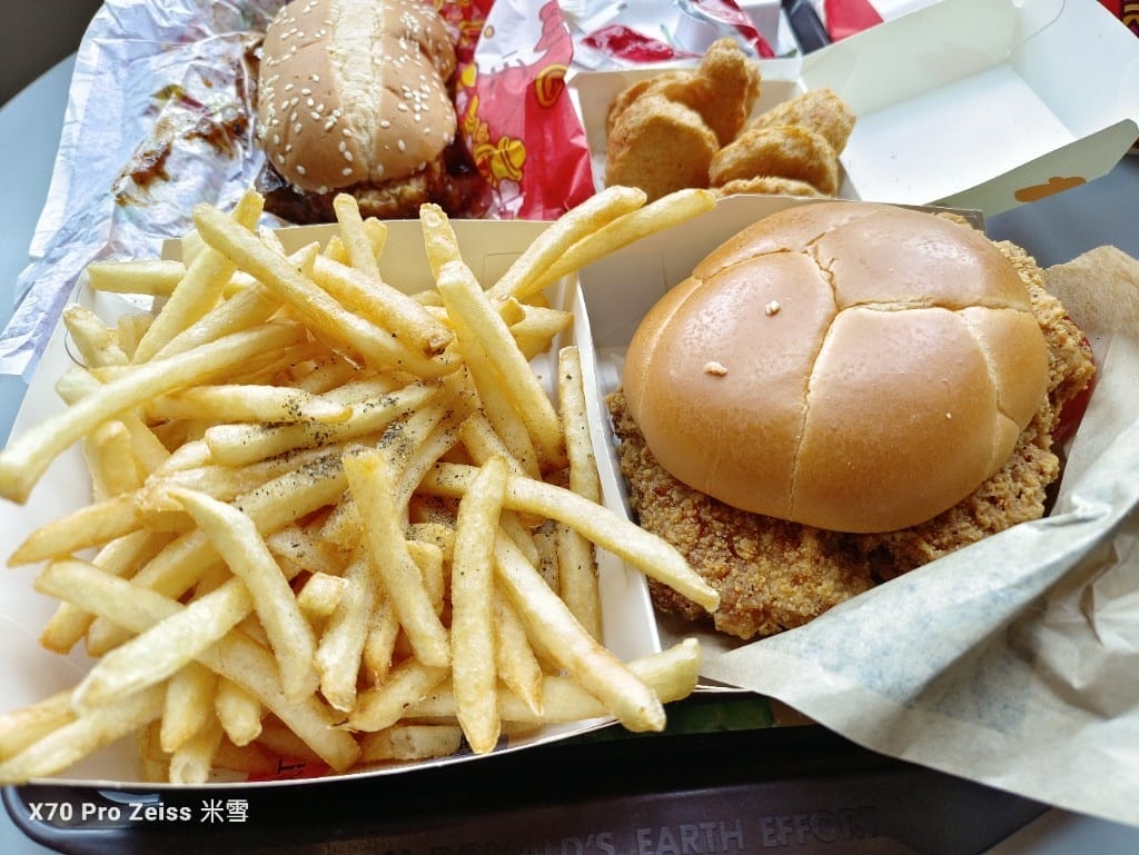 【全台美食】麥當勞金銀招財薯來堡