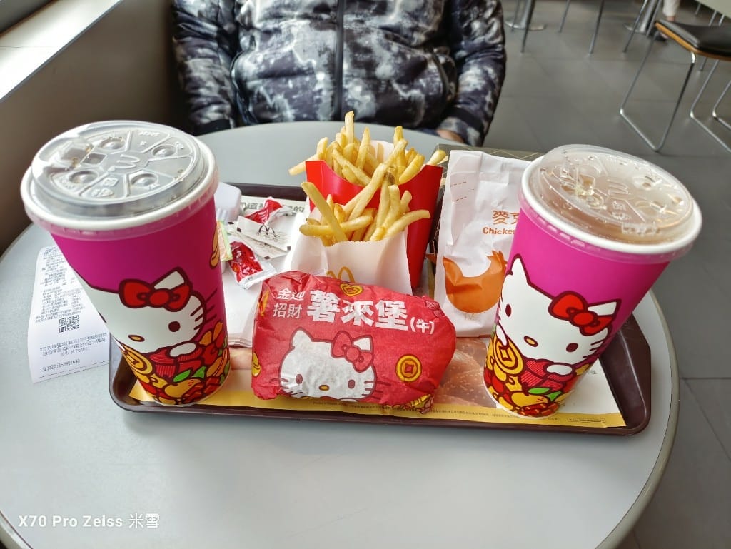 【全台美食】麥當勞金銀招財薯來堡