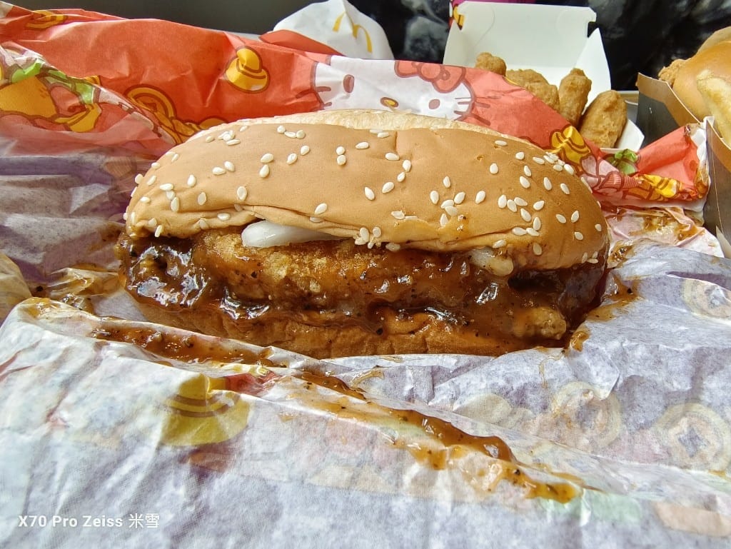 【全台美食】麥當勞金銀招財薯來堡