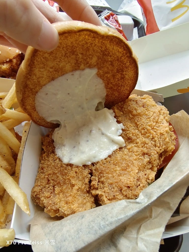 【全台美食】麥當勞金銀招財薯來堡