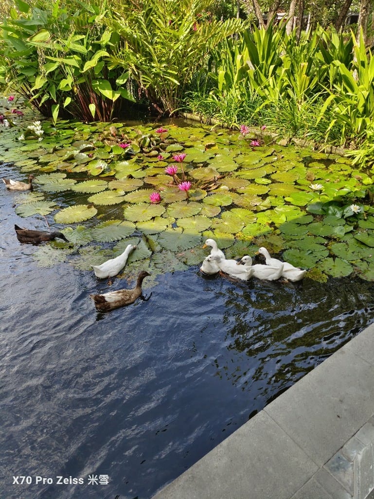 【峇里島美食】凱悅酒店 Hyatt Regency Bali OmangOmang午餐單點 - 第14張圖 【峇里島美食】凱悅酒店 Hyatt Regency Bali OmangOmang午餐單點