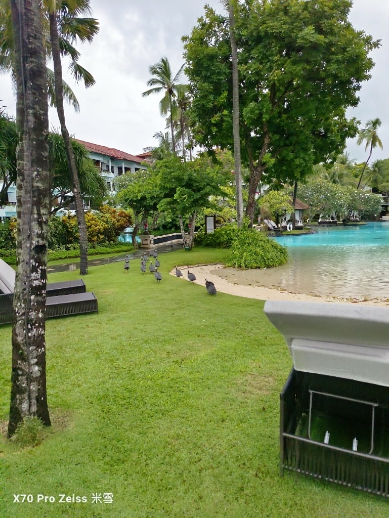 【峇里島住宿】拉古納豪華精選渡假村
The Laguna Resort & Spa Nusa Dua, Bali The Luxury Collection