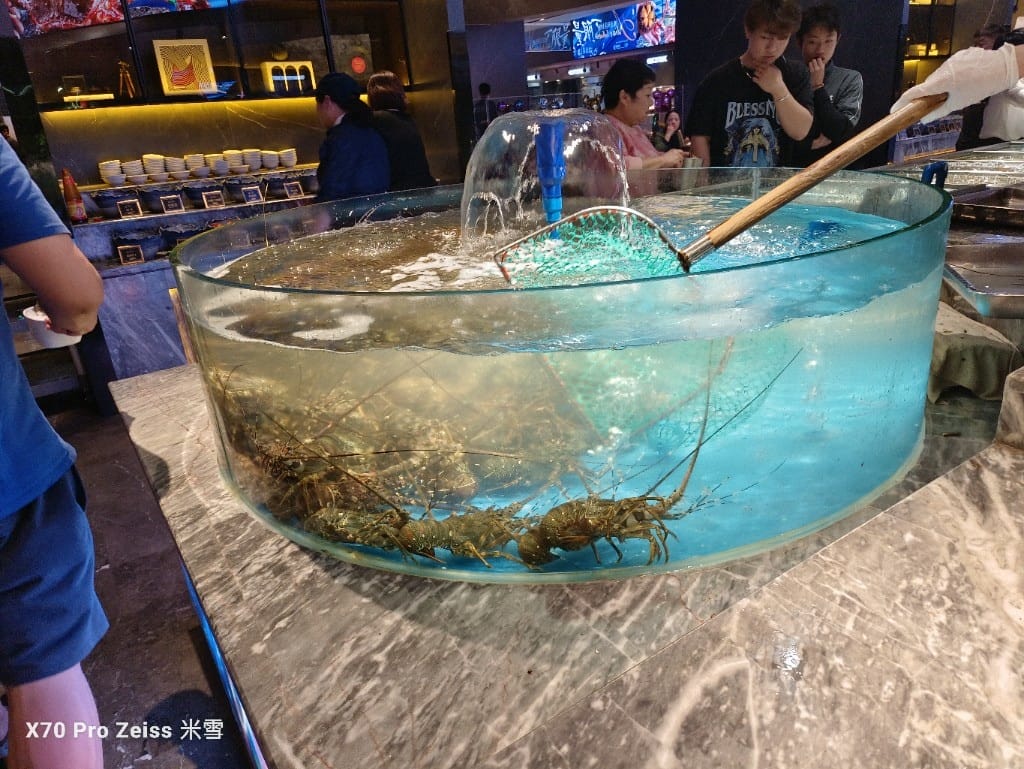 【上海美食】銘門盛宴上海店，活體龍蝦現殺現吃，各種高檔海鮮到飽再訪❤️