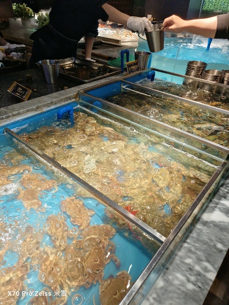 【上海美食】銘門盛宴上海店，活體龍蝦現殺現吃，各種高檔海鮮到飽再訪❤️