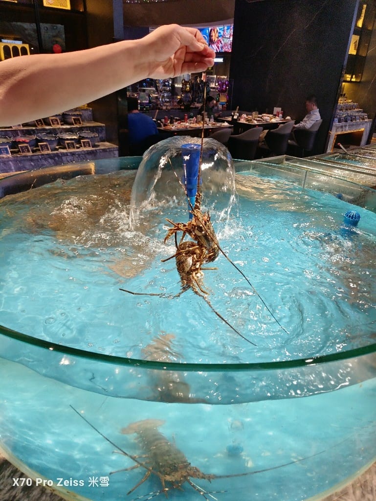 【上海美食】銘門盛宴上海店，活體龍蝦現殺現吃，各種高檔海鮮到飽再訪❤️