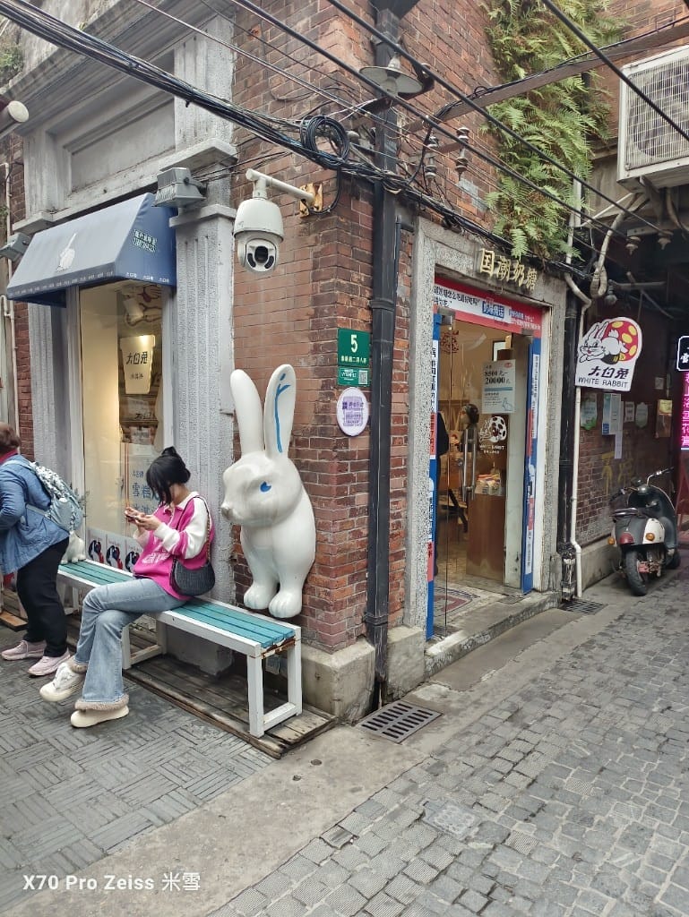 【上海旅遊】田子坊&豫園半日遊😸