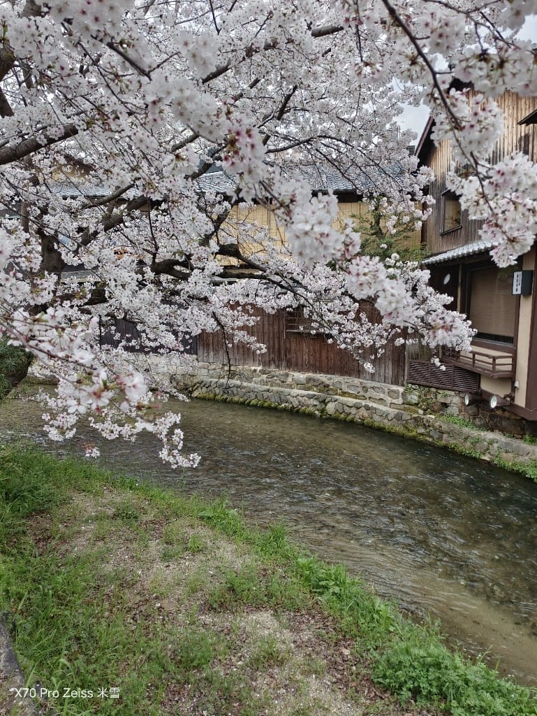【日本京都旅遊】祇園-花見小路、八阪神社-円山公園夜櫻、關西