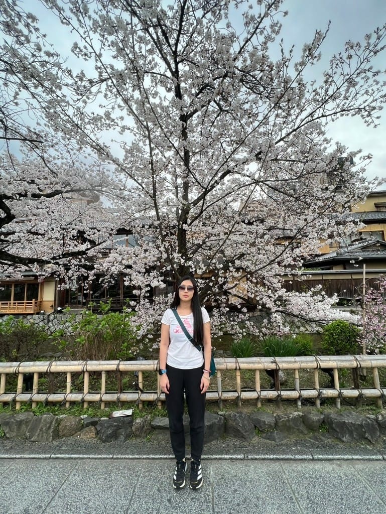 【日本京都旅遊】祇園-花見小路、八阪神社-円山公園夜櫻、關西