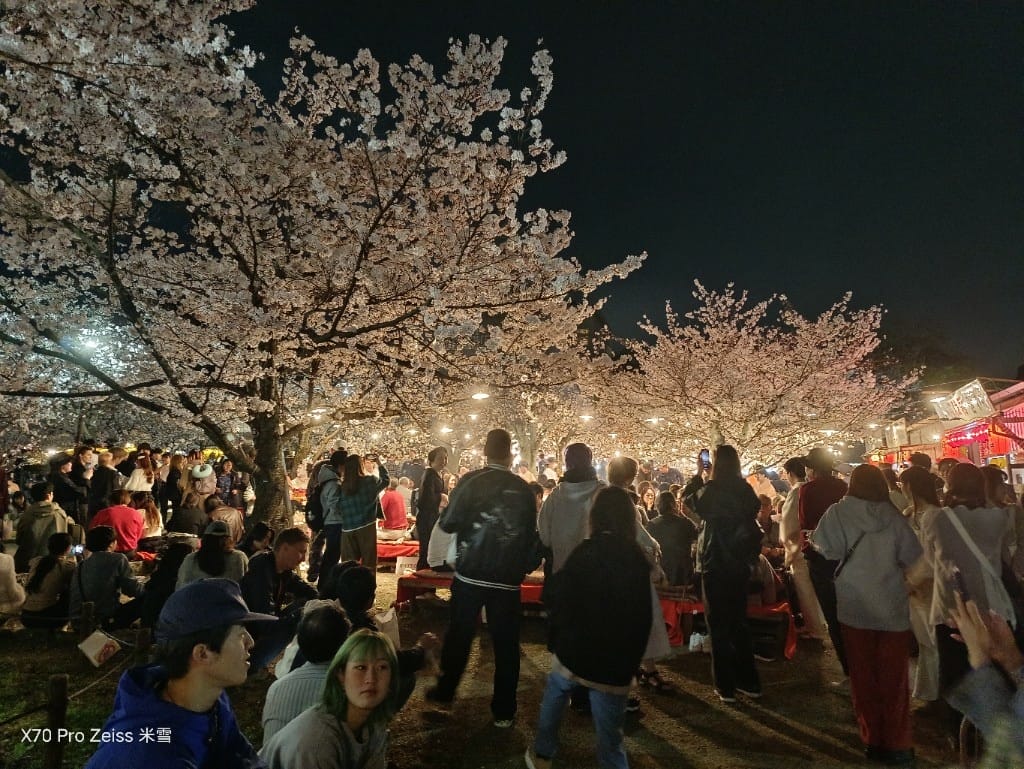 【日本京都旅遊】祇園-花見小路、八阪神社-円山公園夜櫻、關西