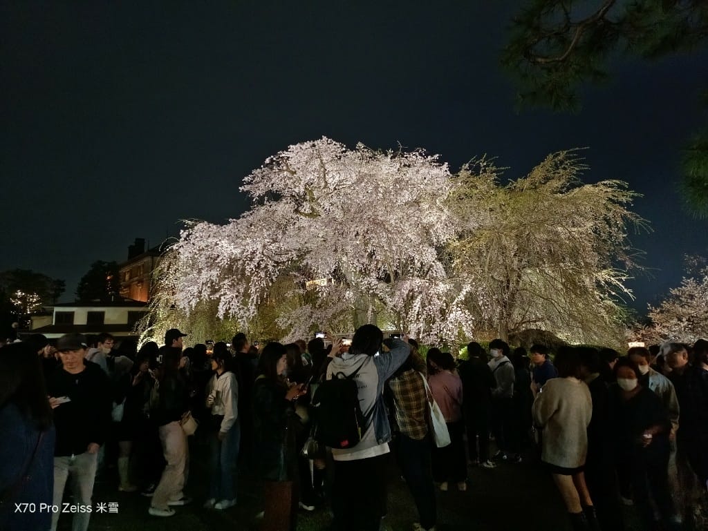 【日本京都旅遊】祇園-花見小路、八阪神社-円山公園夜櫻、關西