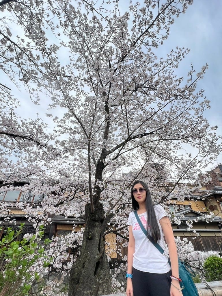 【日本京都旅遊】祇園-花見小路、八阪神社-円山公園夜櫻、關西
