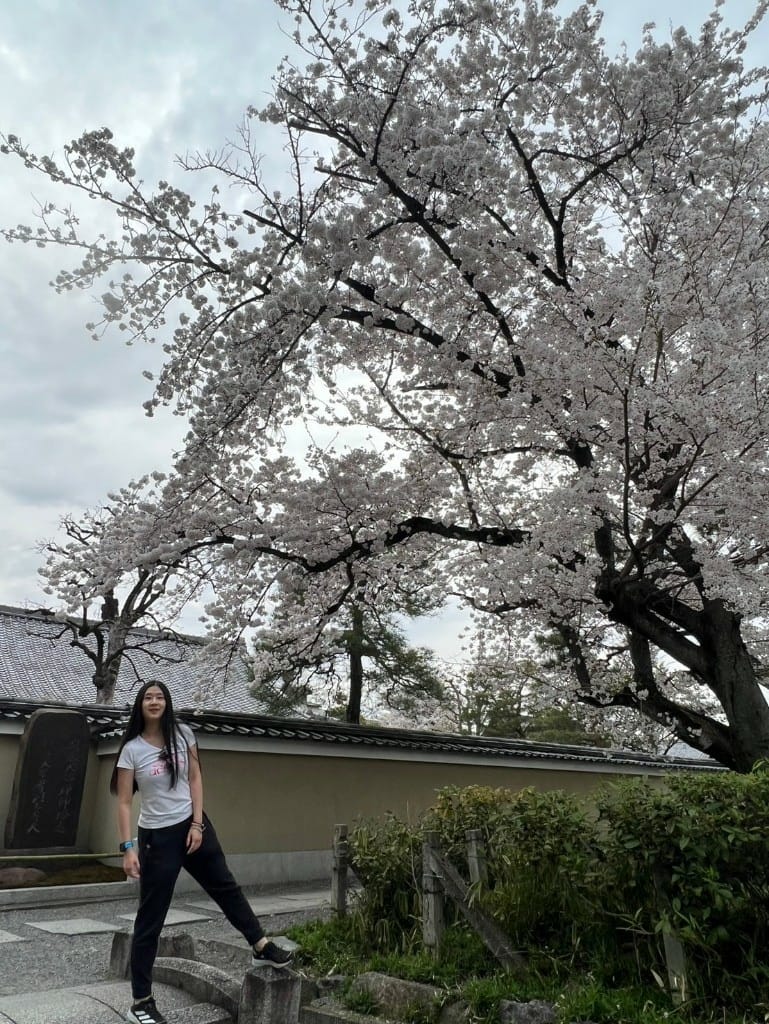 【日本京都旅遊】祇園-花見小路、八阪神社-円山公園夜櫻、關西