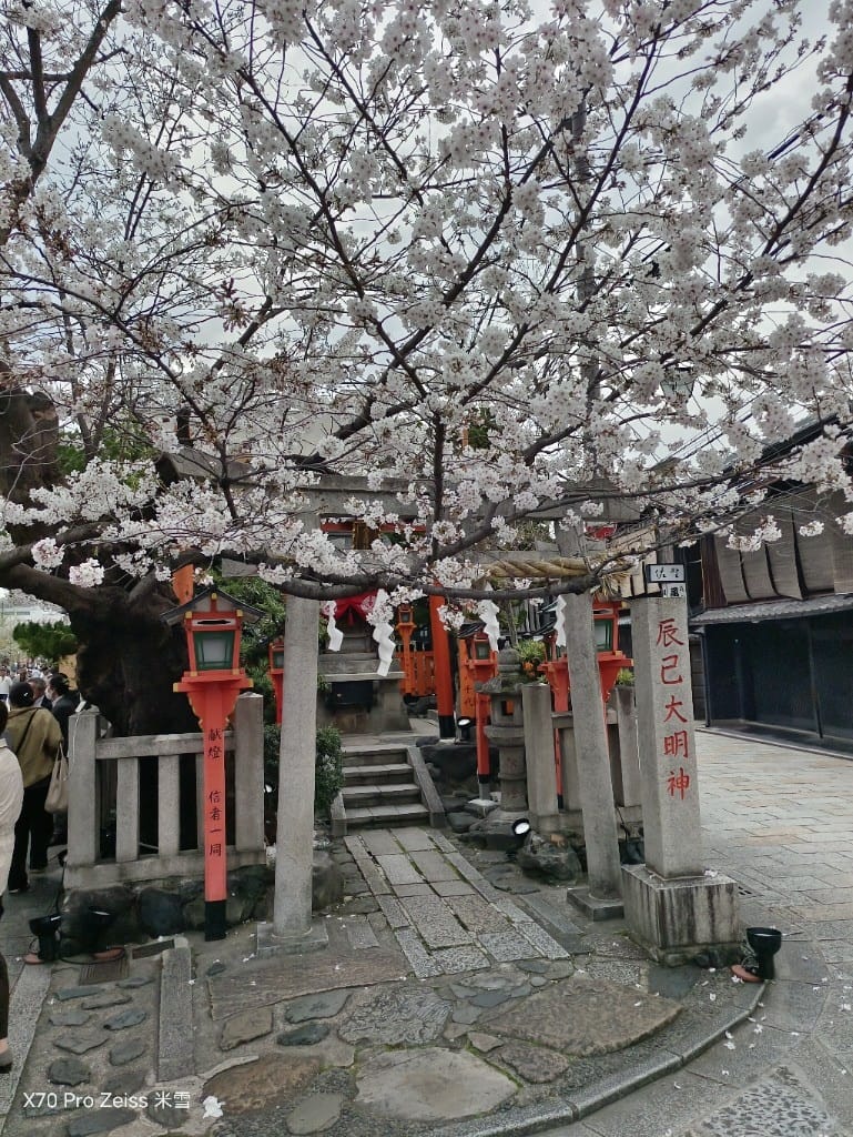【日本京都旅遊】祇園-花見小路、八阪神社-円山公園夜櫻、關西