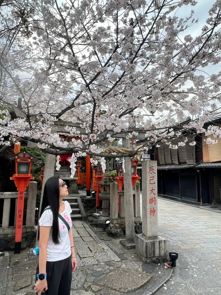 【日本京都旅遊】祇園-花見小路、八阪神社-円山公園夜櫻、關西