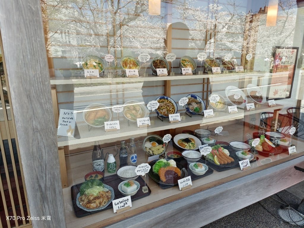 【日本京都旅遊】哲學之道，偽櫻花妹賞櫻囉🌸🌸🌸