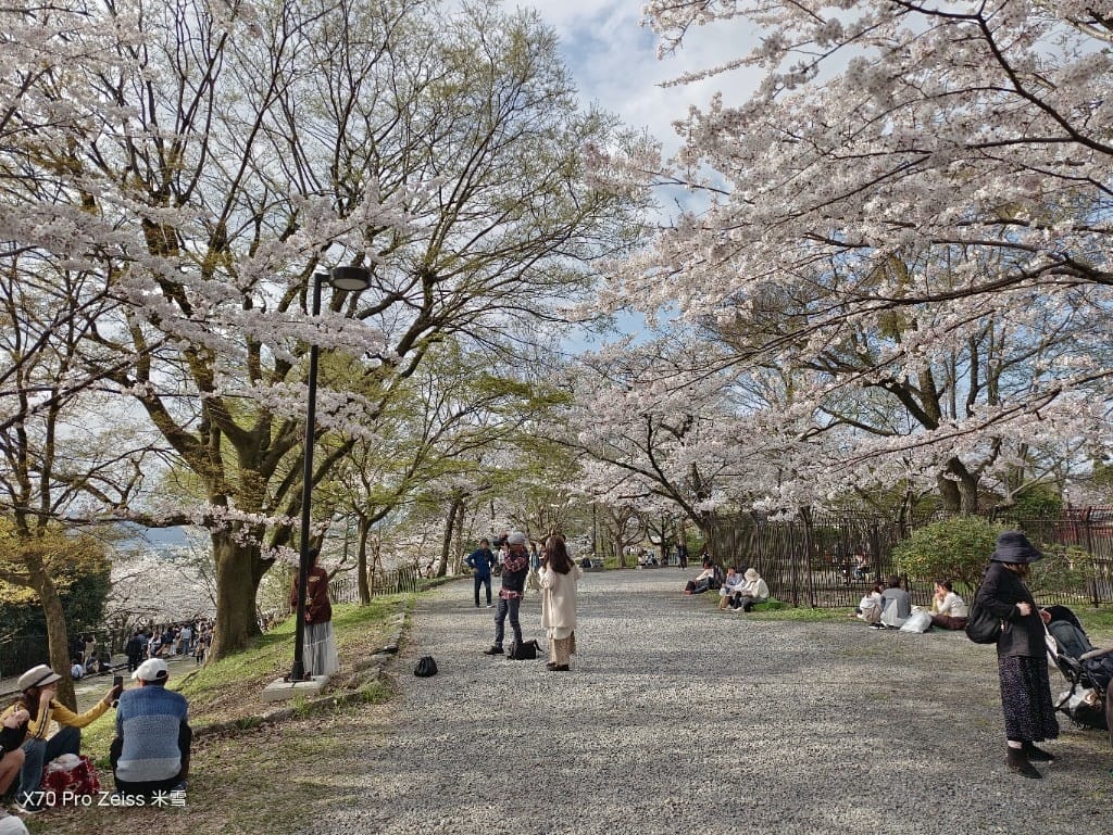 【日本京都旅遊】哲學之道，偽櫻花妹賞櫻囉🌸🌸🌸