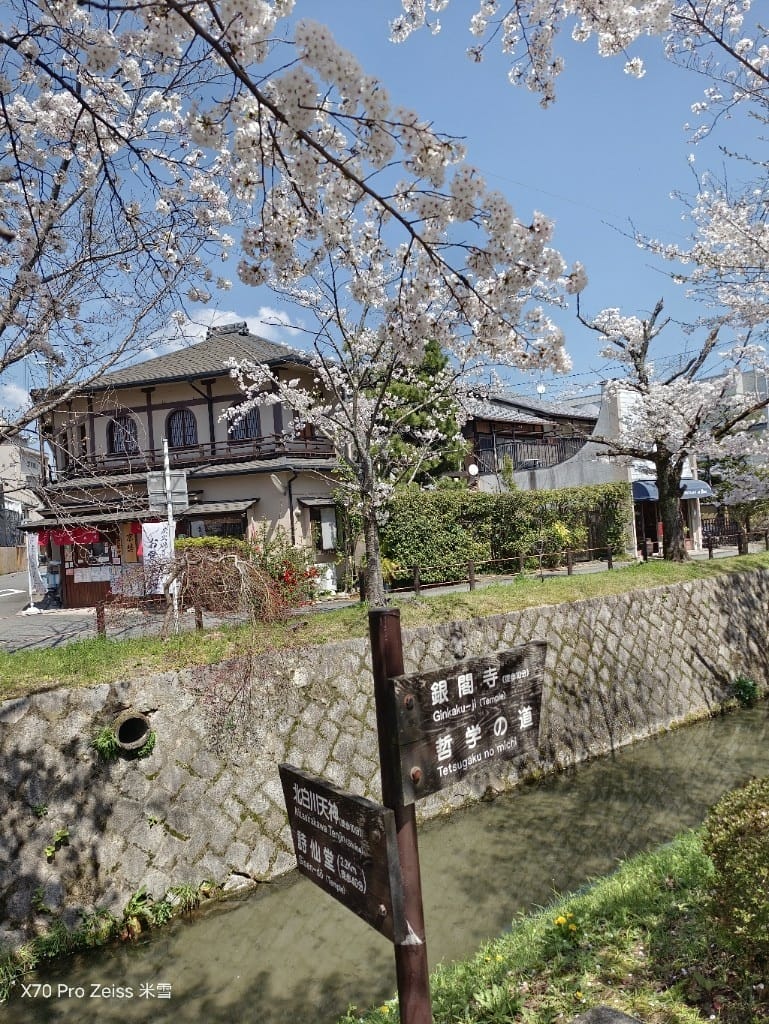 【日本京都旅遊】哲學之道，偽櫻花妹賞櫻囉🌸🌸🌸