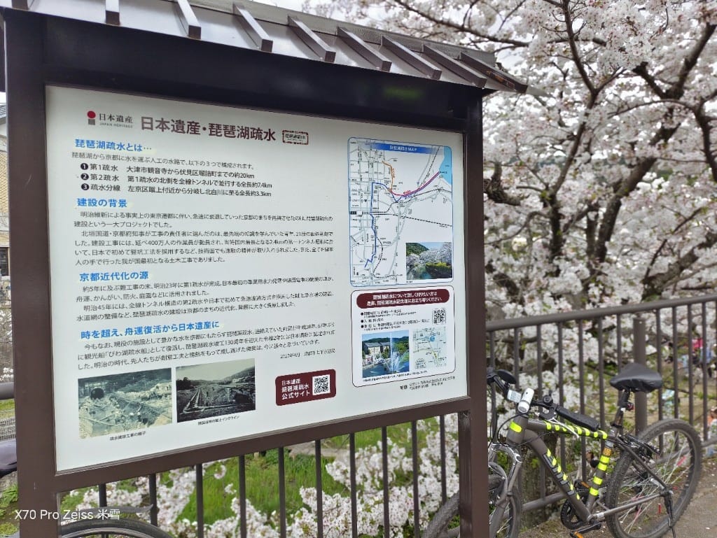【日本京都旅遊】哲學之道，偽櫻花妹賞櫻囉🌸🌸🌸