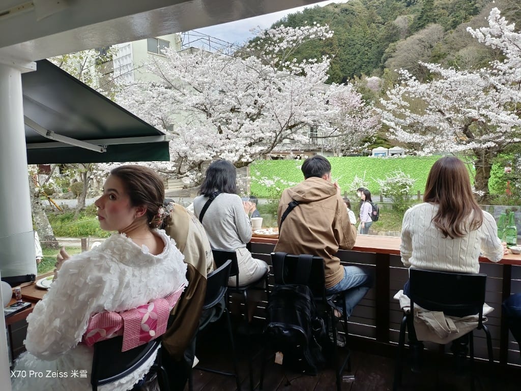 【日本京都旅遊】哲學之道，偽櫻花妹賞櫻囉🌸🌸🌸
