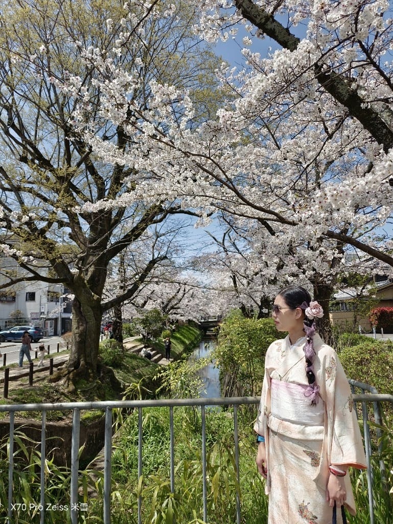 【日本京都旅遊】哲學之道，偽櫻花妹賞櫻囉🌸🌸🌸