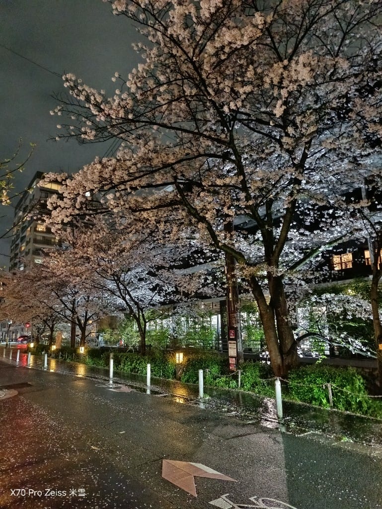 【日本京都住宿】京都麗思卡爾頓酒店，鴨川套房開箱❤️