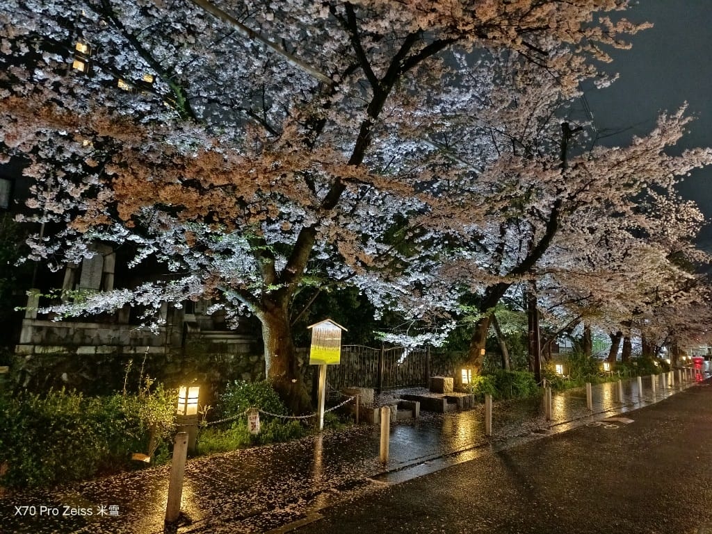 【日本京都住宿】京都麗思卡爾頓酒店，鴨川套房開箱❤️