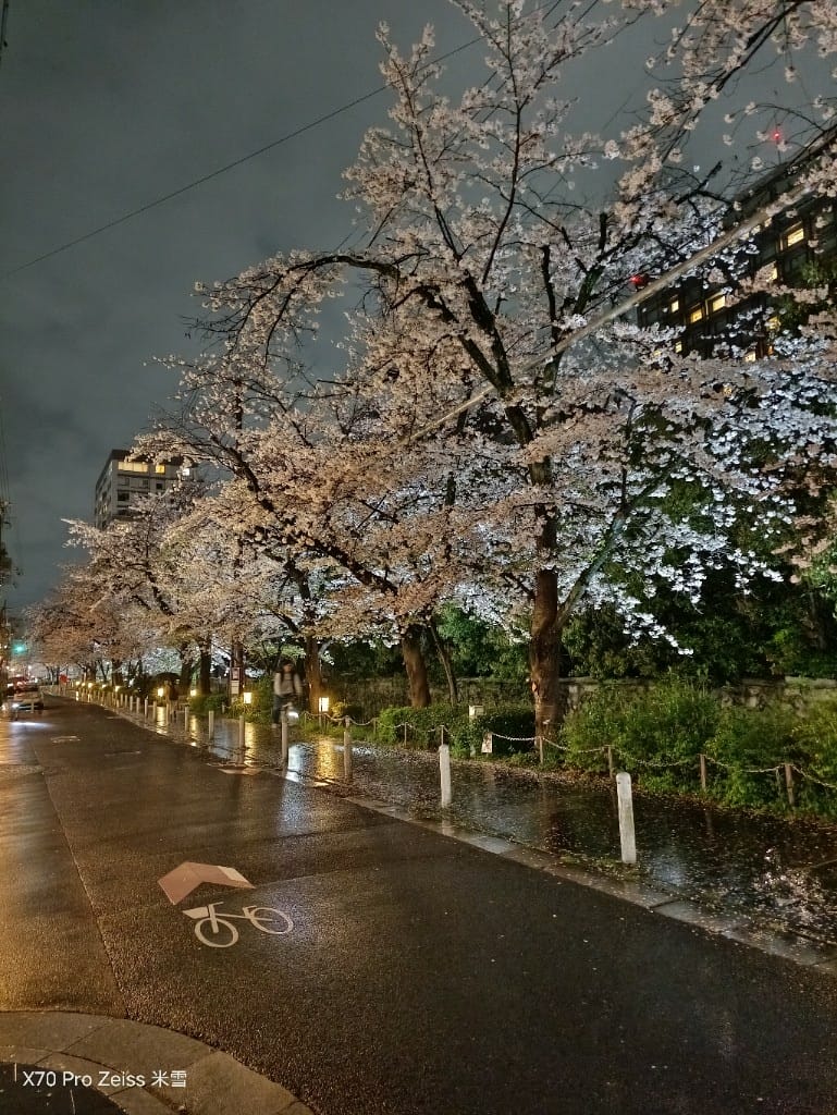 【日本京都住宿】京都麗思卡爾頓酒店，鴨川套房開箱❤️