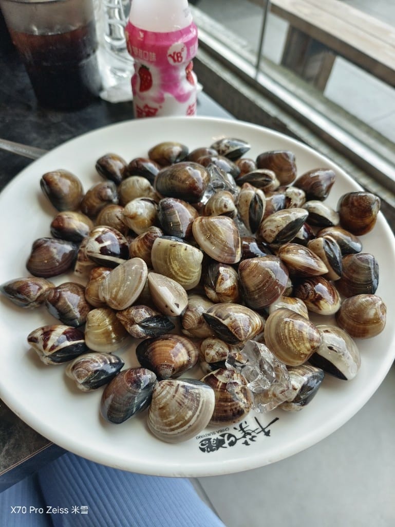 【新莊美食】千葉火鍋N訪，曠世奇派大自由❤️
