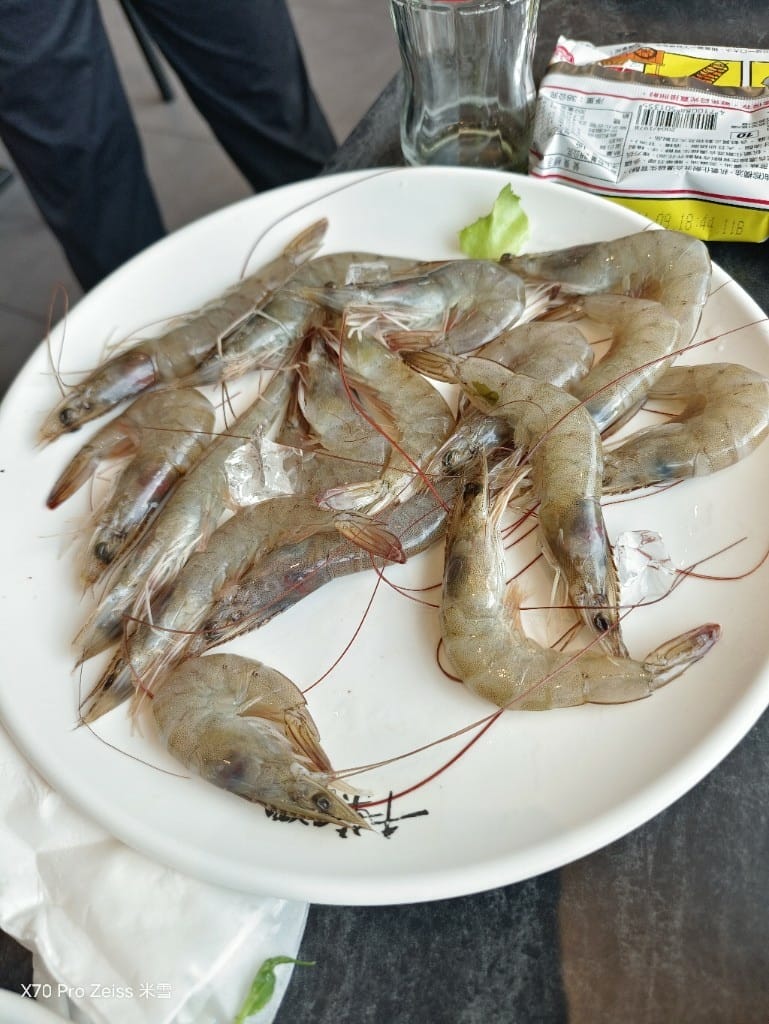 【新莊美食】千葉火鍋N訪，曠世奇派大自由❤️