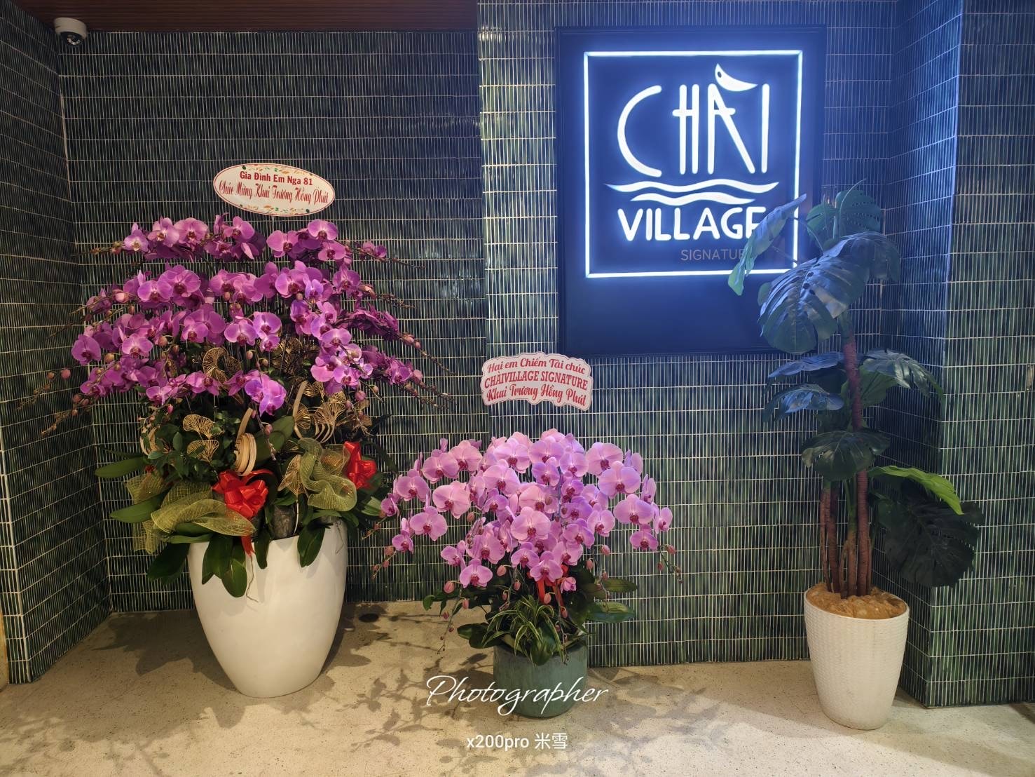 【越南吃到飽 】Chài Village，龍蝦吃到飽不到$1000哦！
