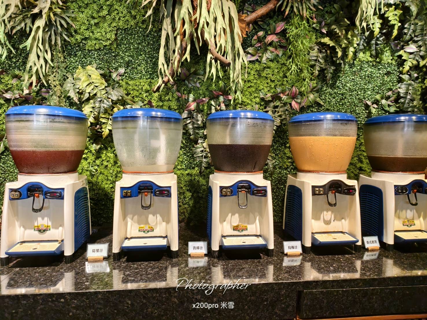 【桃園吃到飽】泰味館泰式料理吃到飽,便宜好吃的泰式料理吃到飽❤️ - 第36張圖 【桃園吃到飽】泰味館泰式料理吃到飽,便宜好吃的泰式料理吃到飽❤️