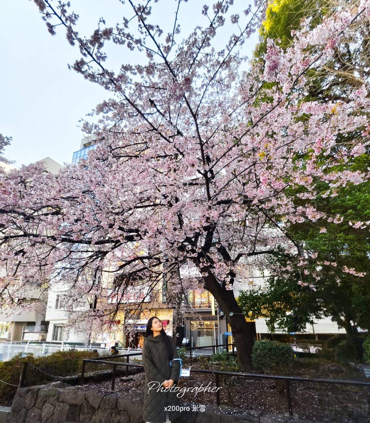 【日本東京美食】三浦三崎港 ，浮誇系迴轉壽司解鎖🍺