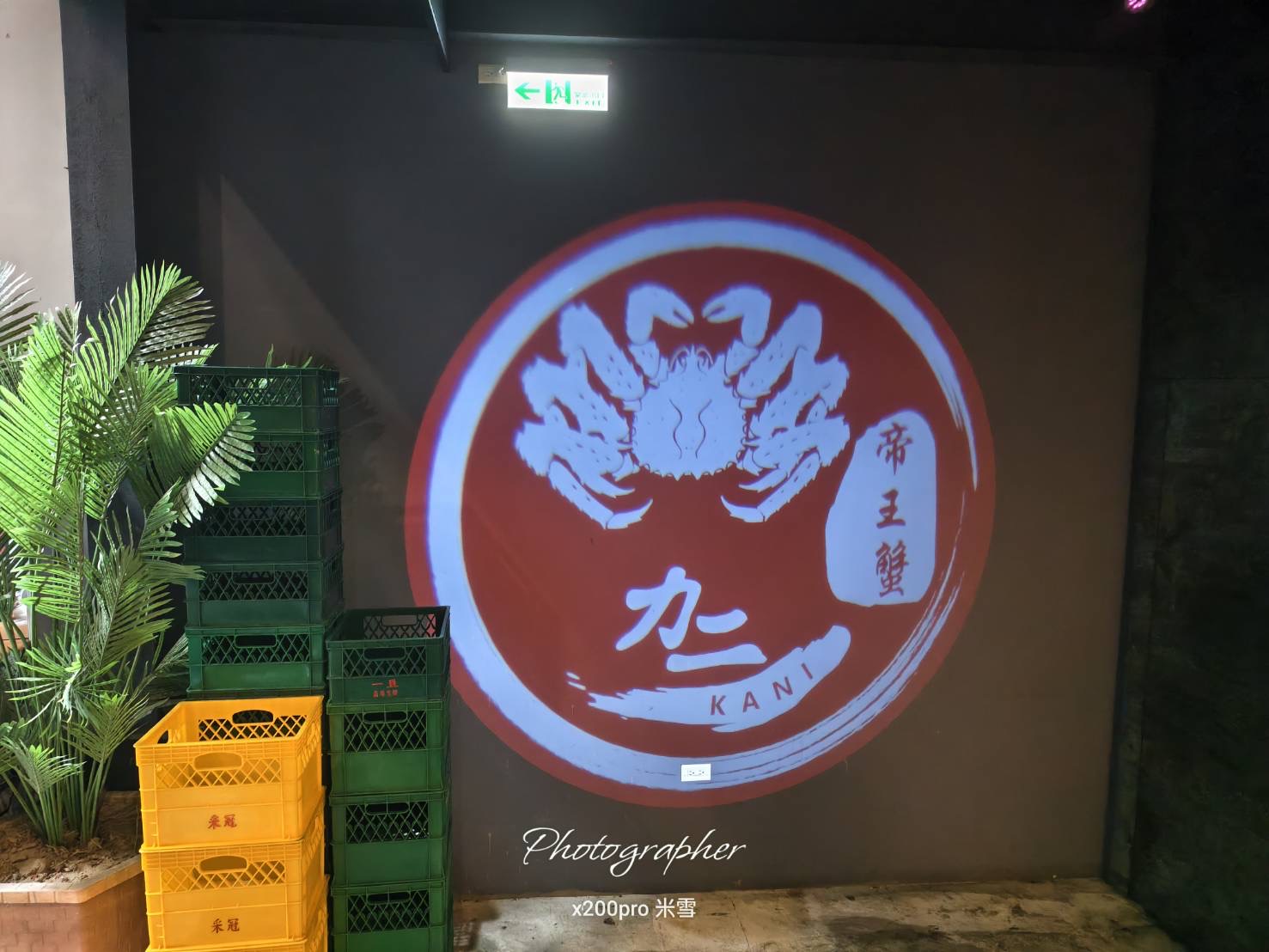 【桃園吃到飽】力二帝王蟹火鍋吃到飽開箱🍺